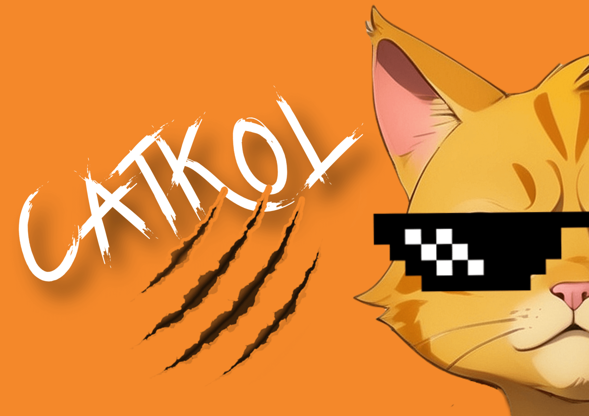 Who is catKOL